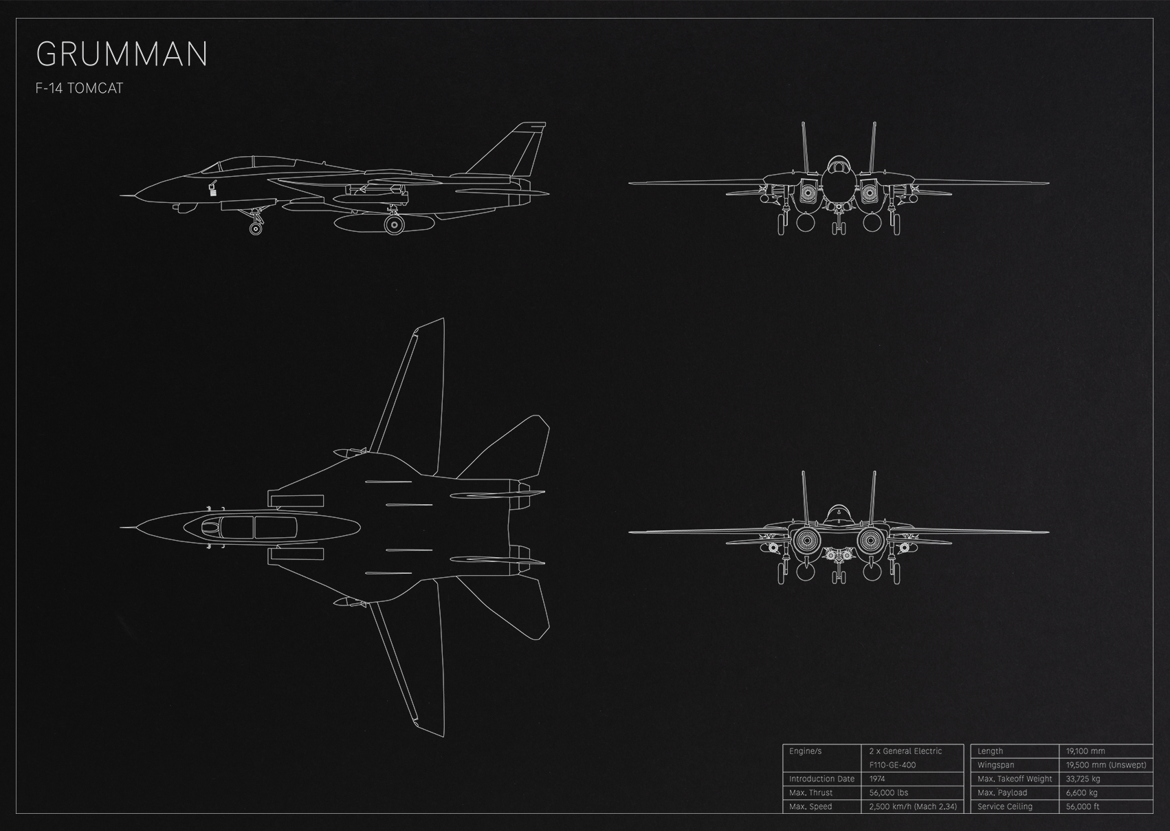 Grumman F-14 Tomcat