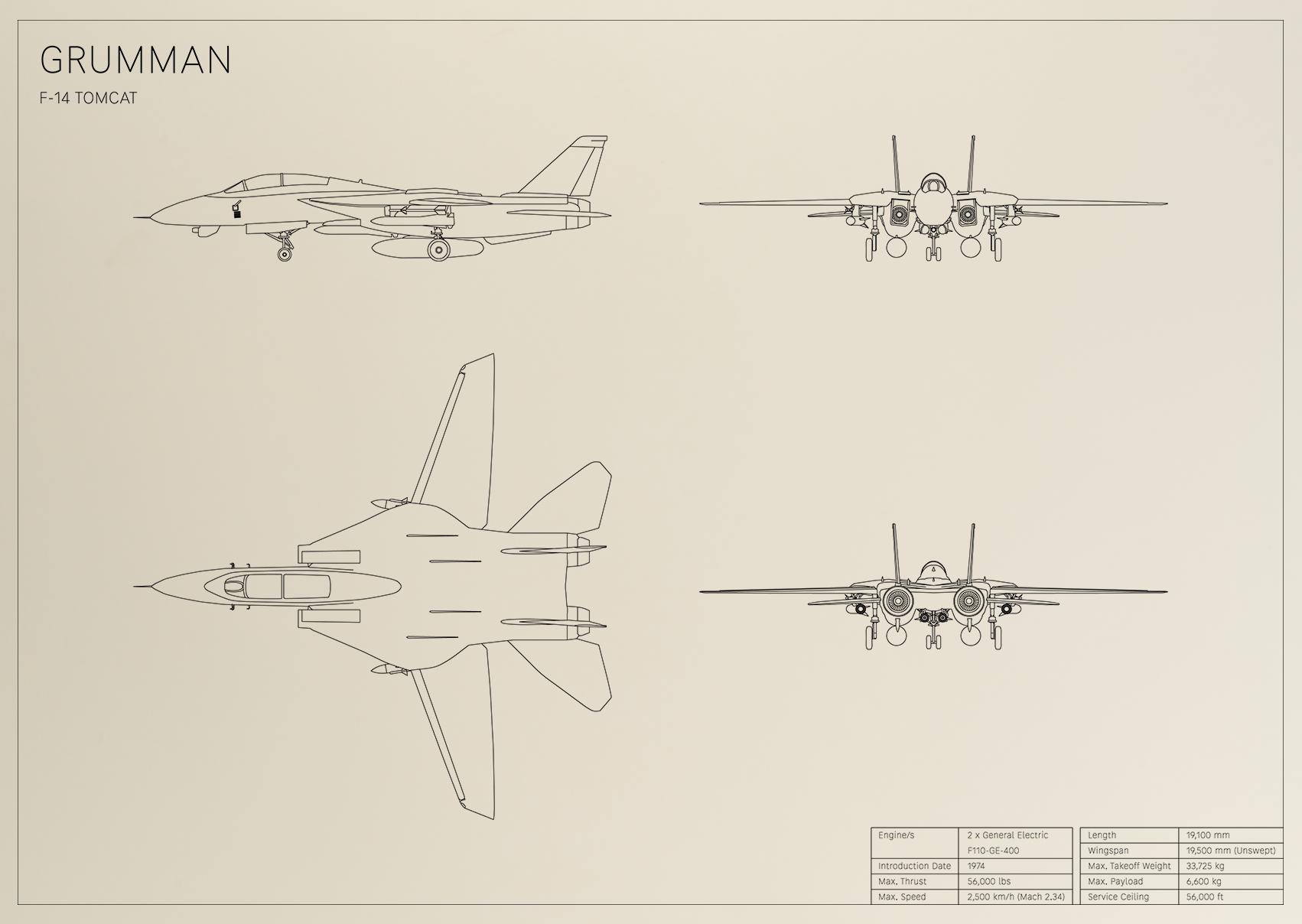 Grumman F-14 Tomcat