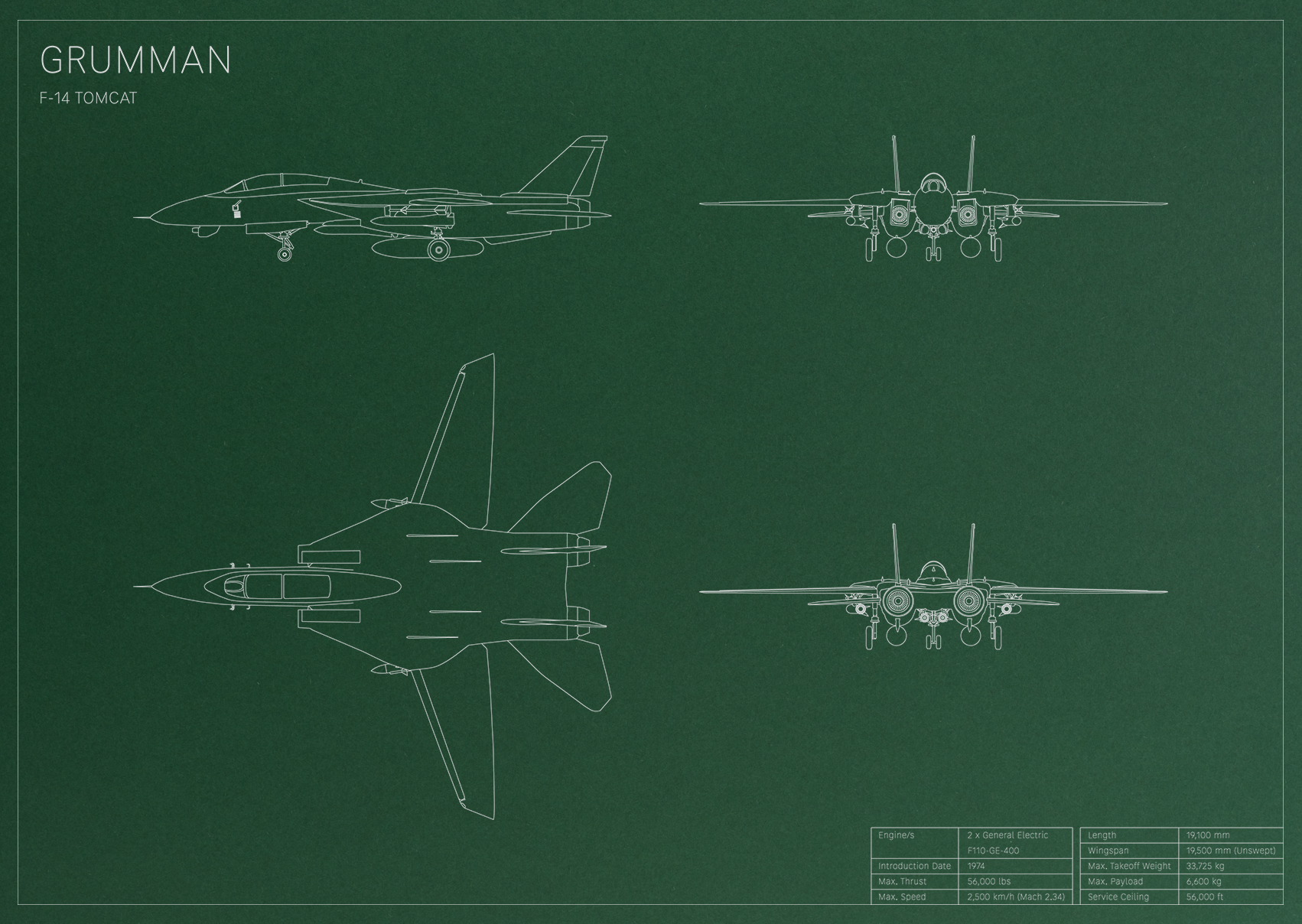 Grumman F-14 Tomcat