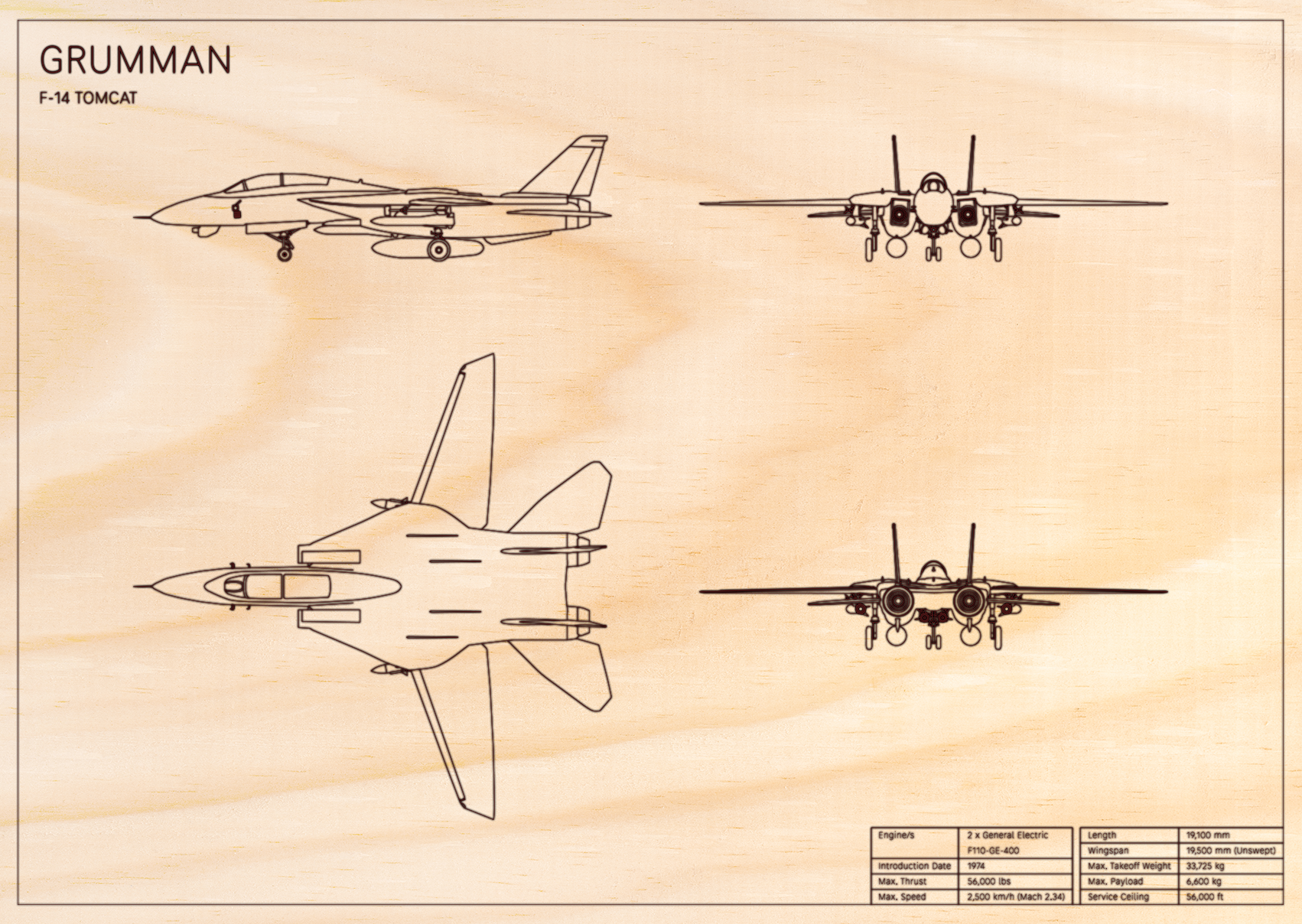 Grumman F-14 Tomcat