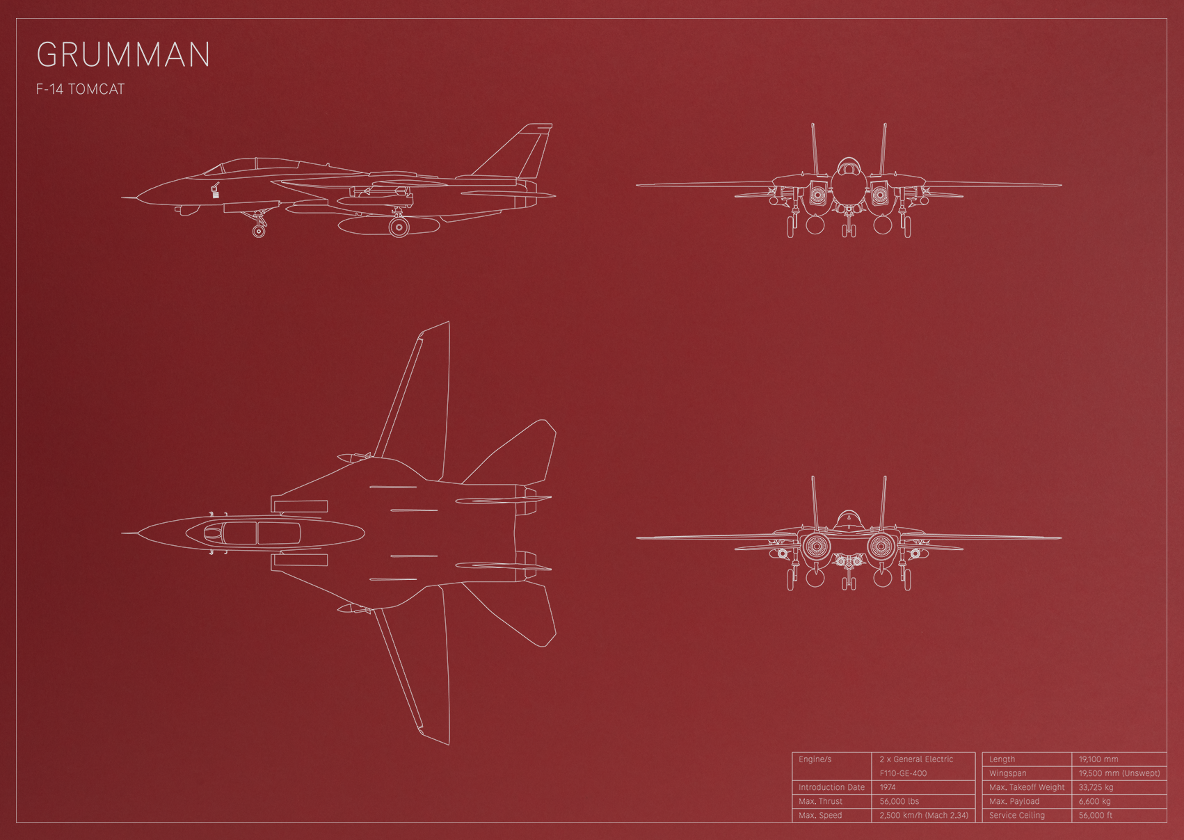 Grumman F-14 Tomcat