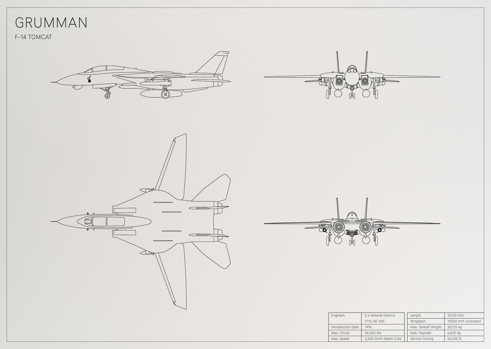 Grumman F-14 Tomcat