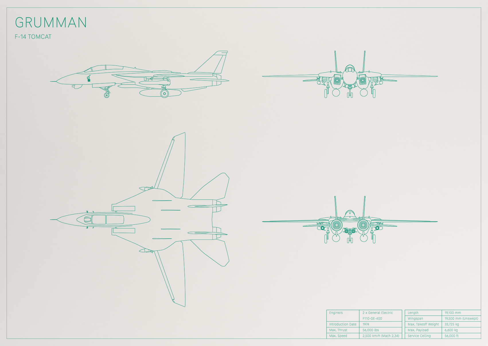 Grumman F-14 Tomcat