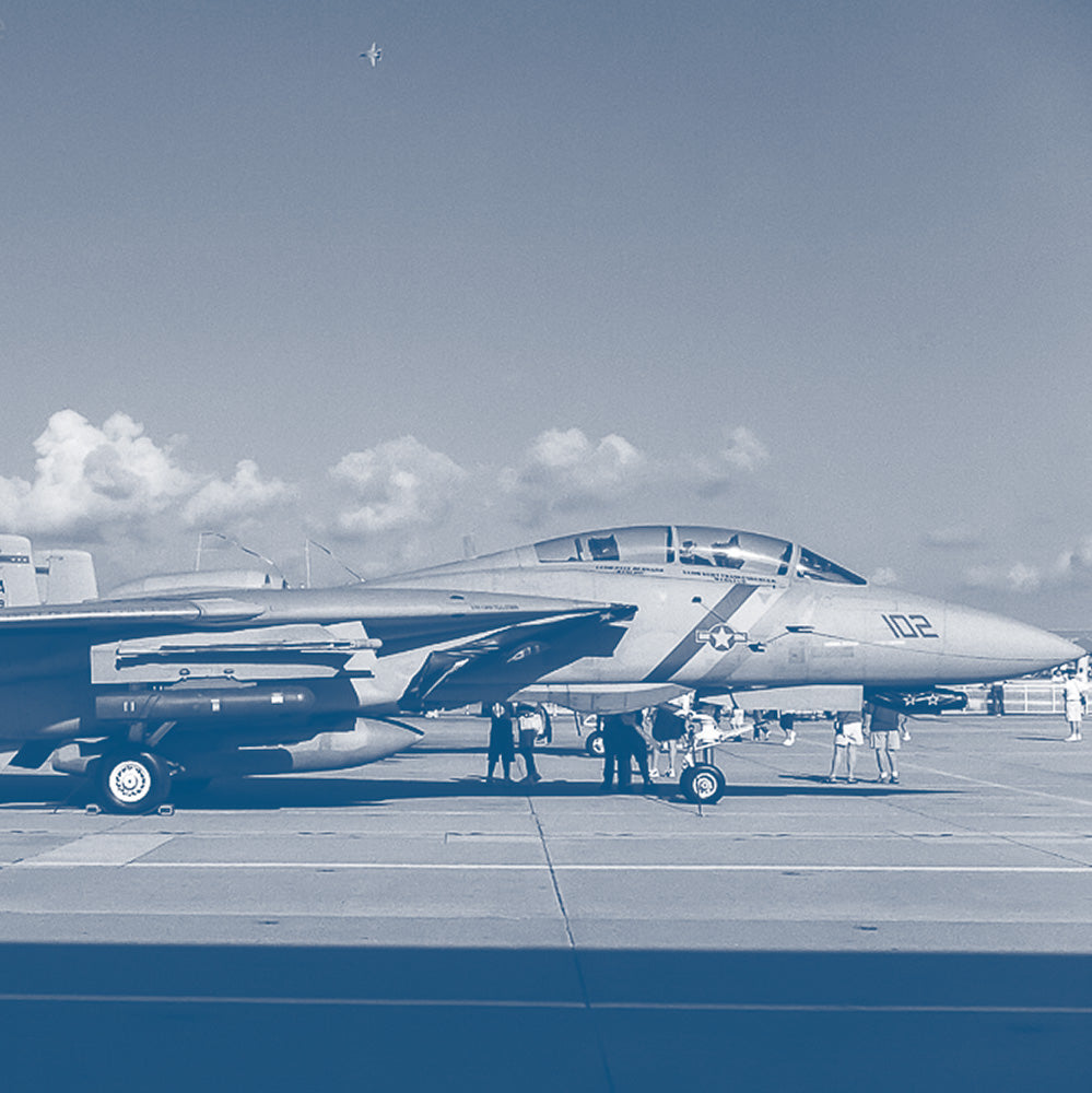 Grumman F-14 Tomcat