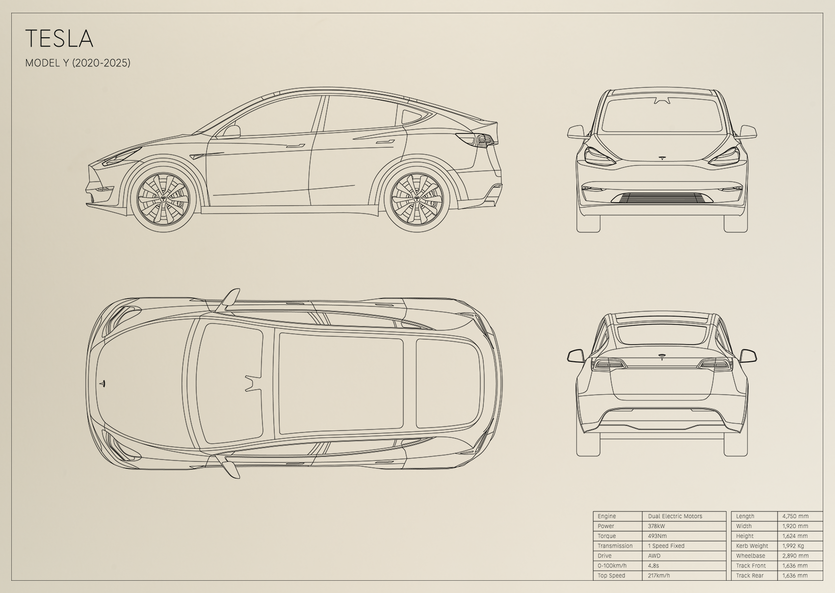 Tesla Model Y (2020 - 2025)